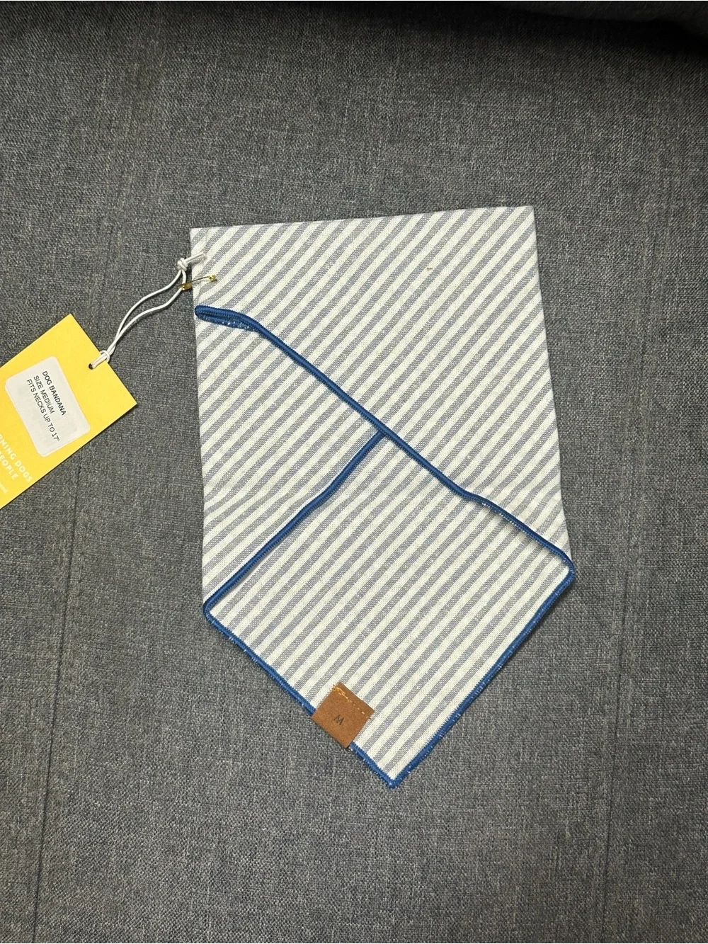 The Foggy Dog Lake Blue Stripe Dog Bandana